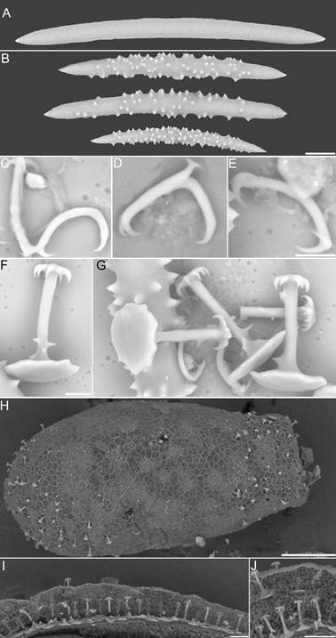 Image from article 2-1